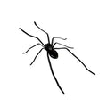 🏆New Year Sale 49% OFF🕷Spider Fridge Magnet 🎁Realistic Spider Magnets, for Refrigerator, Garage Door, or Car